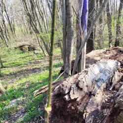 Christiana Creek Nature Preserve - Elkhart