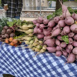 Farmers Market at Central Park - Elkhart