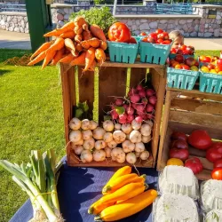 Farmers Market at Central Park - Elkhart