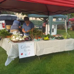 Farmers Market at Central Park - Elkhart