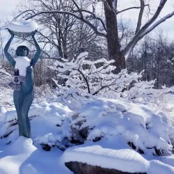 Wellfield Botanic Gardens - Elkhart