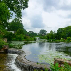 Wellfield Botanic Gardens - Elkhart