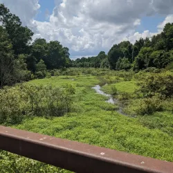 Angel Mounds State Historic Site - Evansville