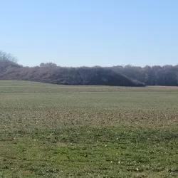 Angel Mounds State Historic Site - Evansville