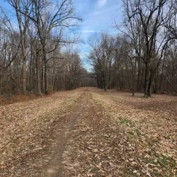 Angel Mounds State Historic Site - Evansville