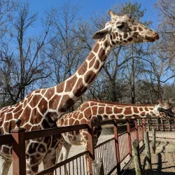 Mesker Park Zoo & Botanic Garden - Evansville