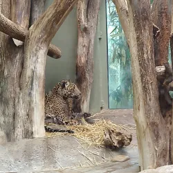 Mesker Park Zoo & Botanic Garden - Evansville