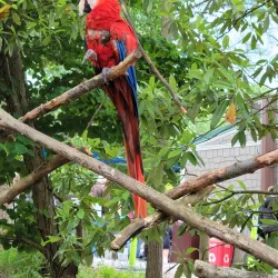 Mesker Park Zoo & Botanic Garden - Evansville