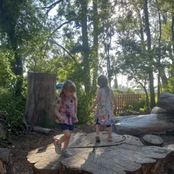 Wesselman Woods Nature Preserve - Evansville