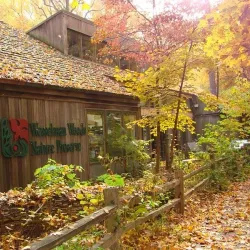 Wesselman Woods Nature Preserve - Evansville