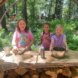 Wesselman Woods Nature Preserve - Evansville