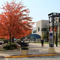 Allen County Public Library - Fort Wayne