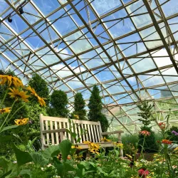 Foellinger-Freimann Botanical Conservatory - Fort Wayne