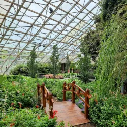 Foellinger-Freimann Botanical Conservatory - Fort Wayne