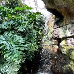 Foellinger-Freimann Botanical Conservatory - Fort Wayne
