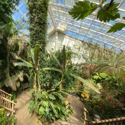 Foellinger-Freimann Botanical Conservatory - Fort Wayne