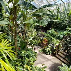 Foellinger-Freimann Botanical Conservatory - Fort Wayne