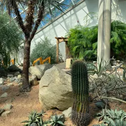 Foellinger-Freimann Botanical Conservatory - Fort Wayne