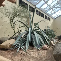 Foellinger-Freimann Botanical Conservatory - Fort Wayne