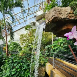Foellinger-Freimann Botanical Conservatory - Fort Wayne