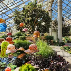 Foellinger-Freimann Botanical Conservatory - Fort Wayne