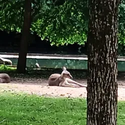 Fort Wayne Children's Zoo - Fort Wayne