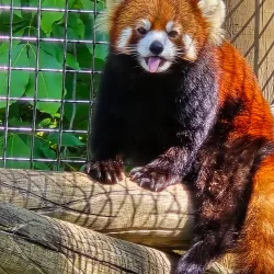 Fort Wayne Children's Zoo - Fort Wayne