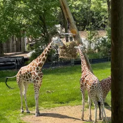 Fort Wayne Children's Zoo - Fort Wayne