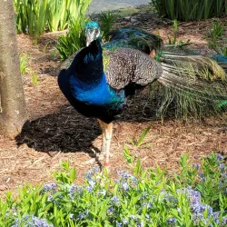 Fort Wayne Children's Zoo - Fort Wayne
