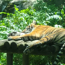 Fort Wayne Children's Zoo - Fort Wayne