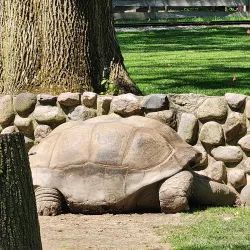 Fort Wayne Children's Zoo - Fort Wayne