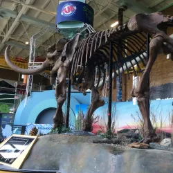 Science Central - Fort Wayne