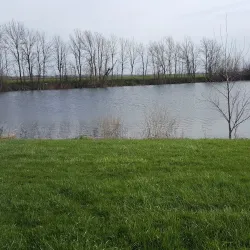 Benton County Fairgrounds - Fowler