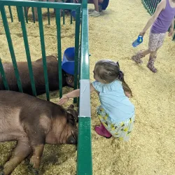 Benton County Fairgrounds - Fowler