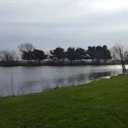 Benton County Fairgrounds - Fowler