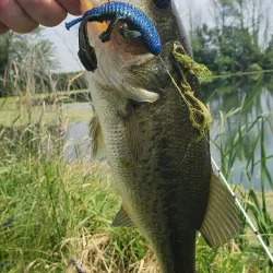 Benton County Fairgrounds - Fowler