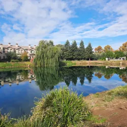 Fowler Farmers Market - Fowler