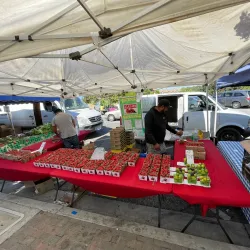 Fowler Farmers Market - Fowler