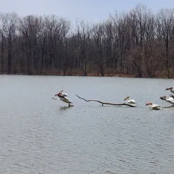 Prairie Creek Reservoir - Fowler