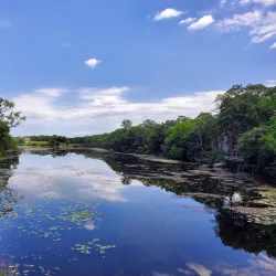 Marquette Park - Gary