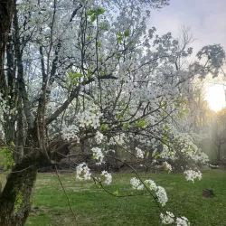 Brandywine Creek Park - Greenfield