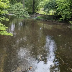 Brandywine Creek Park - Greenfield