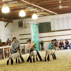 Hancock County Fairgrounds - Greenfield