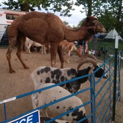 Hancock County Fairgrounds - Greenfield
