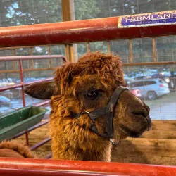 Hancock County Fairgrounds - Greenfield