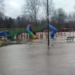 Riley Park - Greenfield