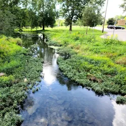 Riley Park - Greenfield