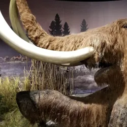 Indiana State Museum - Indianapolis