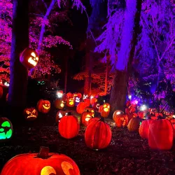 Indianapolis Museum of Art at Newfields - Indianapolis