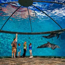 Indianapolis Zoo - Indianapolis